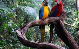 placeholder image to represent content