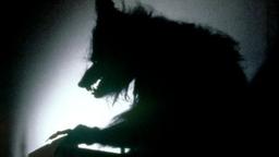 placeholder image to represent content