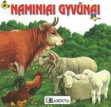 placeholder image to represent content