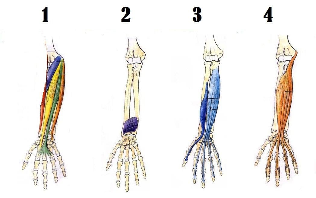 Question Image
