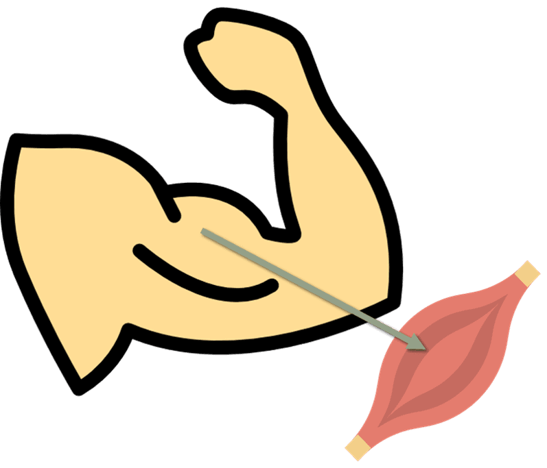 Answer Image