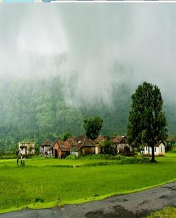 placeholder image to represent content