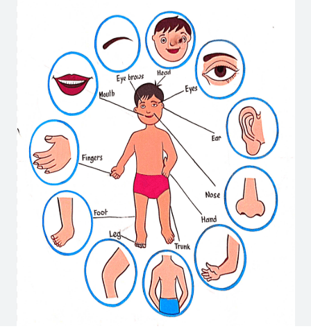 Question Image