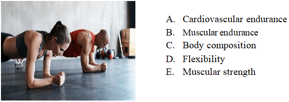 Question Image