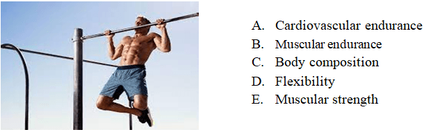 Question Image