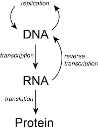 placeholder image to represent content