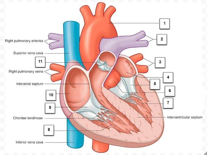 Question Image