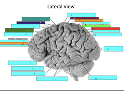 placeholder image to represent content