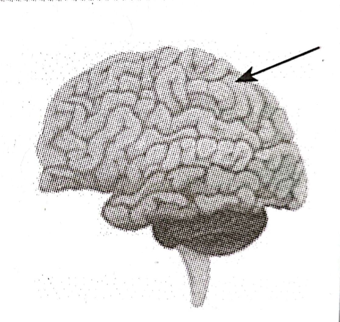 Question Image