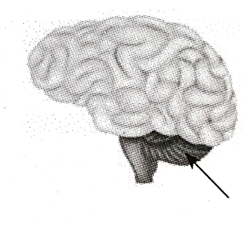 Question Image