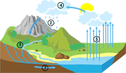 placeholder image to represent content