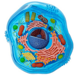 placeholder image to represent content