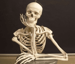 placeholder image to represent content