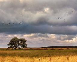 placeholder image to represent content