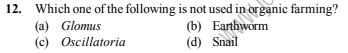 Question Image