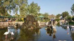 placeholder image to represent content