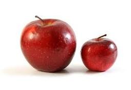 placeholder image to represent content