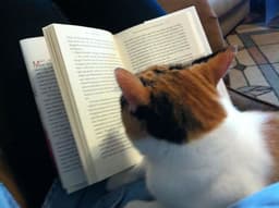 placeholder image to represent content