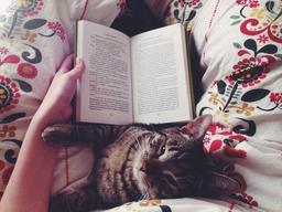 placeholder image to represent content