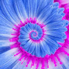 placeholder image to represent content