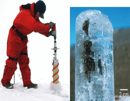 placeholder image to represent content