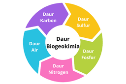 placeholder image to represent content