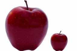 placeholder image to represent content