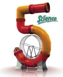 placeholder image to represent content