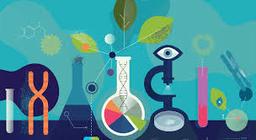 placeholder image to represent content