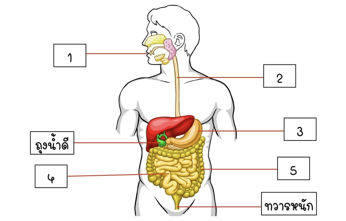 Question Image