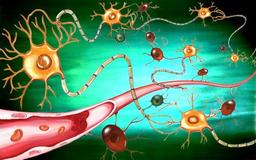 placeholder image to represent content