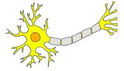 placeholder image to represent content