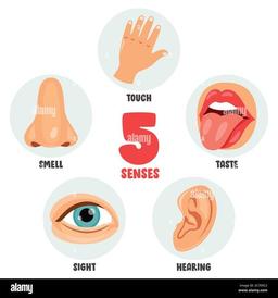 placeholder image to represent content