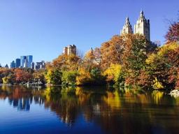 placeholder image to represent content