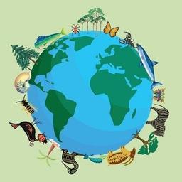 placeholder image to represent content