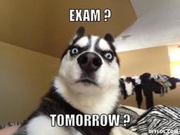 placeholder image to represent content