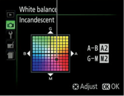 Question Image