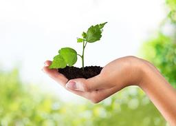 placeholder image to represent content