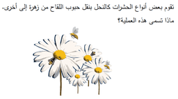 placeholder image to represent content