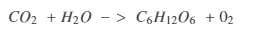 Answer Image