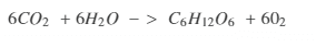 Answer Image