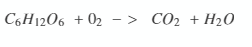 Answer Image