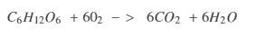 Answer Image