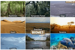 placeholder image to represent content