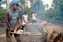 placeholder image to represent content