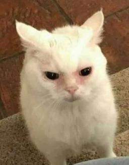 placeholder image to represent content