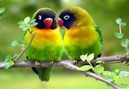 placeholder image to represent content