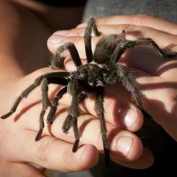 placeholder image to represent content