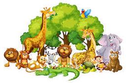 placeholder image to represent content