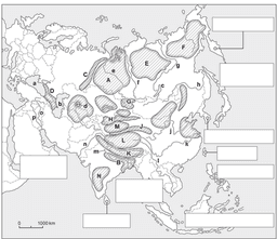 placeholder image to represent content